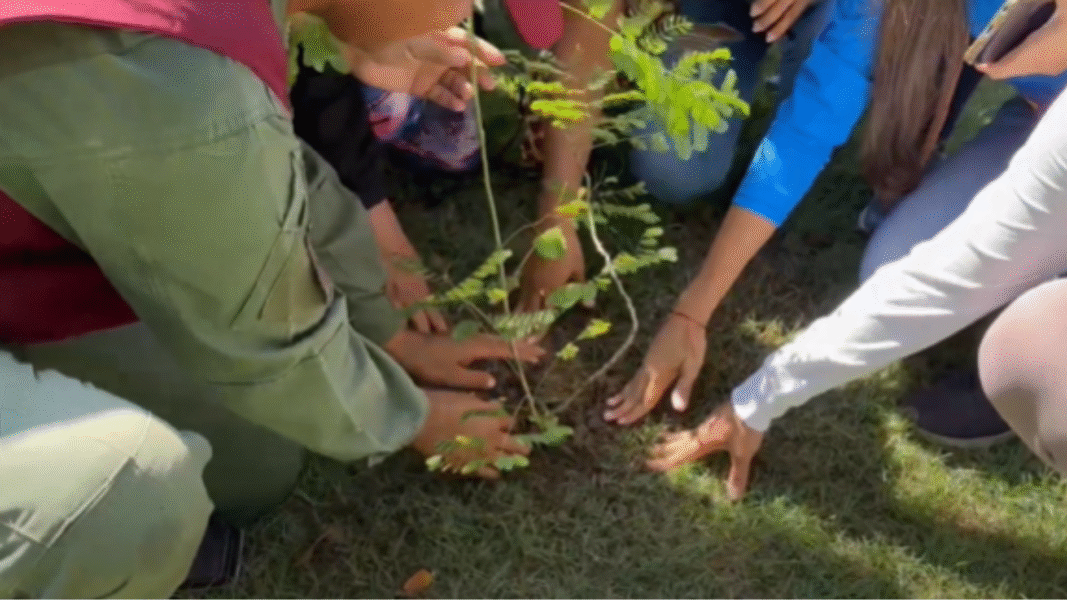 Sucre se suma a jornada nacional de reforestación en el marco del Congreso Mundial de la Madre Tierra