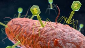 inteligencia artificial