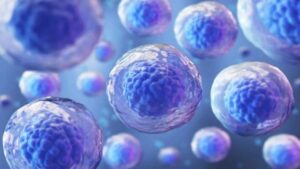 Congreso Venezolano de Células Madre