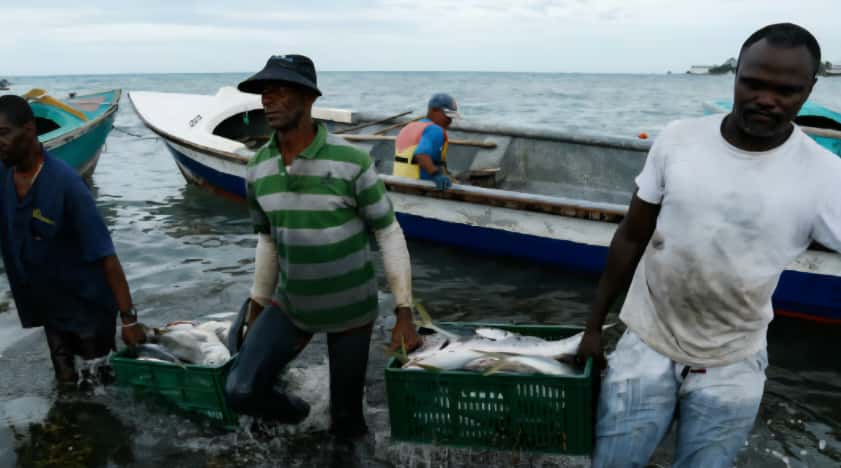 Pescadores colombianos alertan sobre ataques de embarcaciones sin pruebas