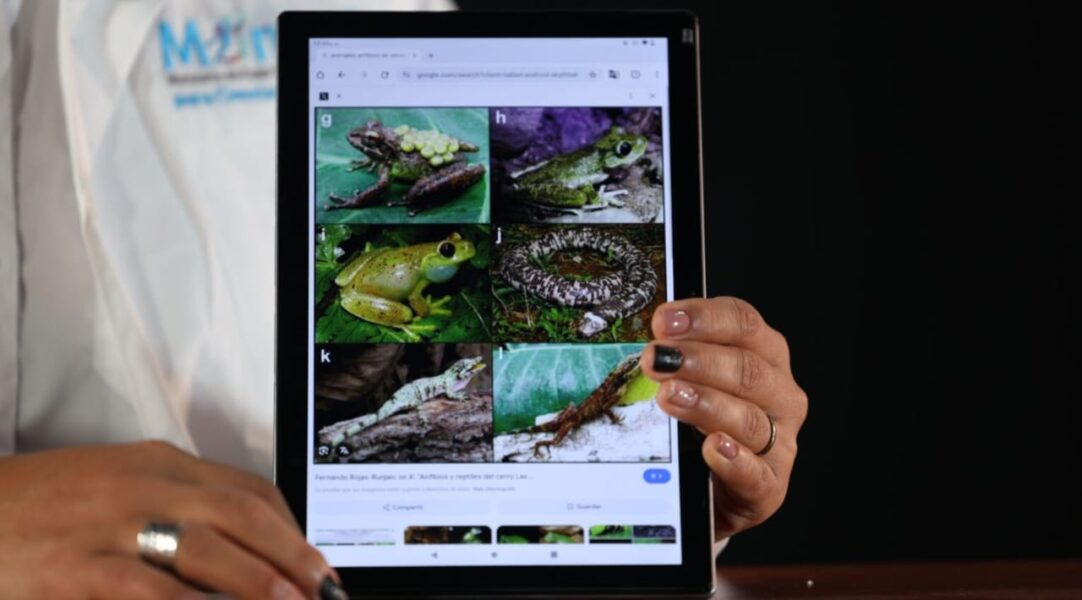 Cambio climático y anfibios: la crisis que pocos ven