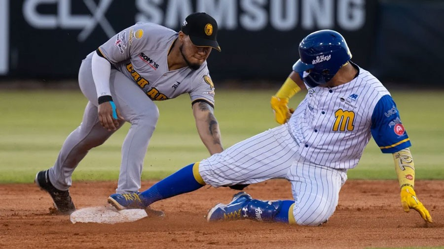 ¡Se enciende el campo! Sepa todo sobre el juego Leones-Magallanes