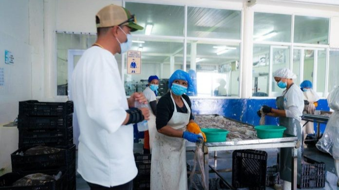 La guaira exporta más de 500 toneladas de productos del mar