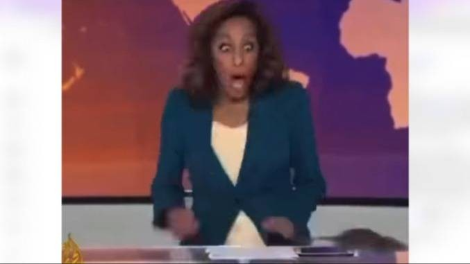 Escándalo en Londres: Un roedor detuvo la transmisión