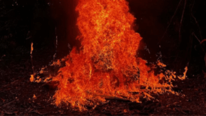 minería ilegal Amazonas