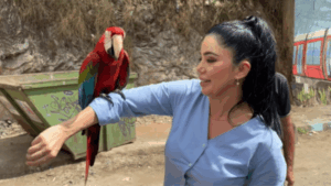 guacamaya Rosita