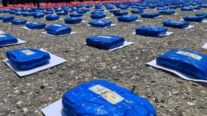 Incautados 1.253 kilos de «súper marihuana» en Lara