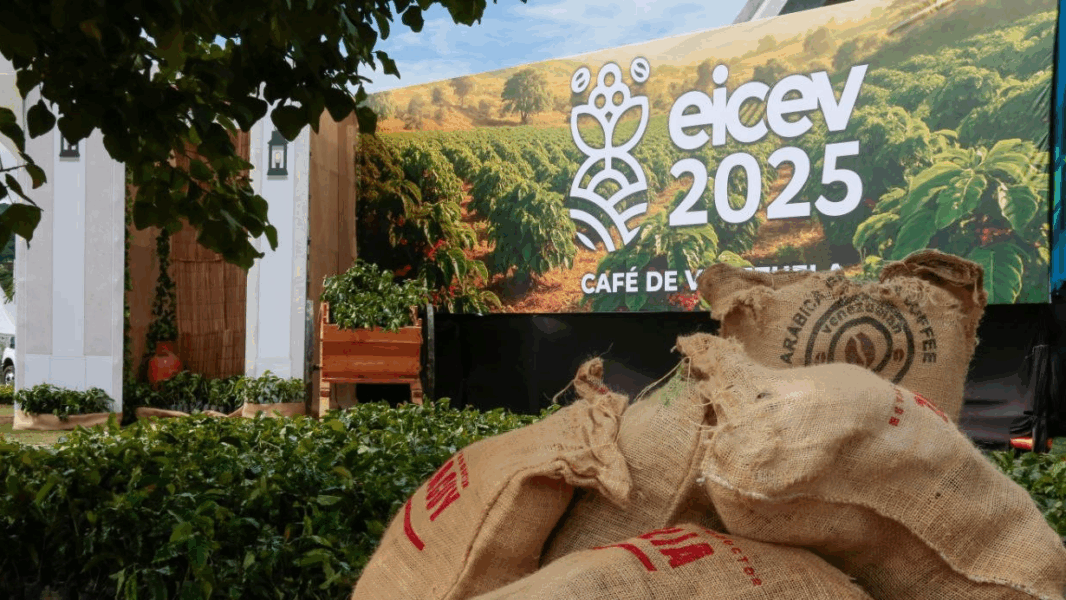 Entregan tazas de oro, plata y bronce en la EICEV 2025