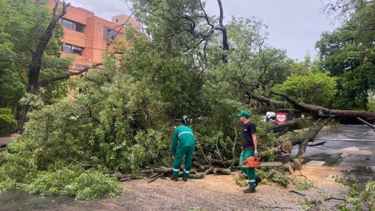 Más de 700 familias lo pierden todo tras una tormenta en paraguay