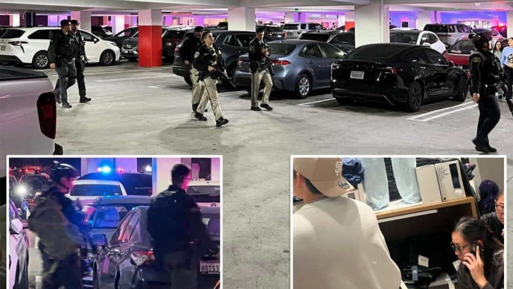 Tiroteo en centro comercial estadounidense durante el Black Friday