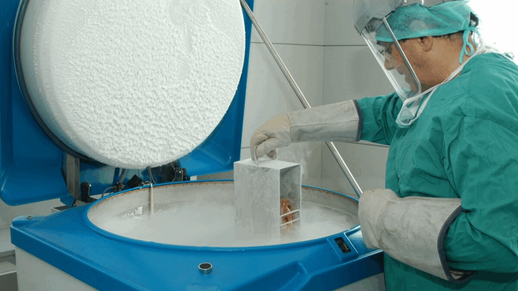 ¿Es posible la criopreservación?