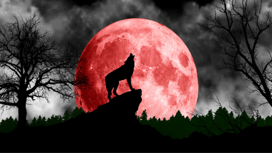 Superluna del Lobo abrirá el año astronómico el 3 de enero