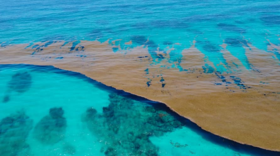 Lo que se esconde en el mar: la alerta que detectaron los satélites venezolanos
