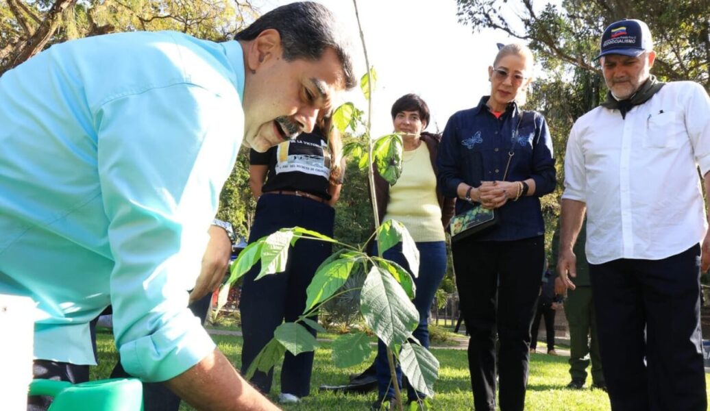 Venezuela redobla estrategias de reforestación y protección ecológica