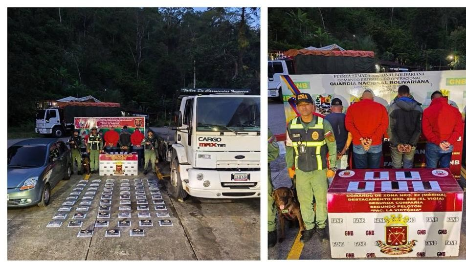 Avanza la incautación de drogas: esta vez fue en Mérida