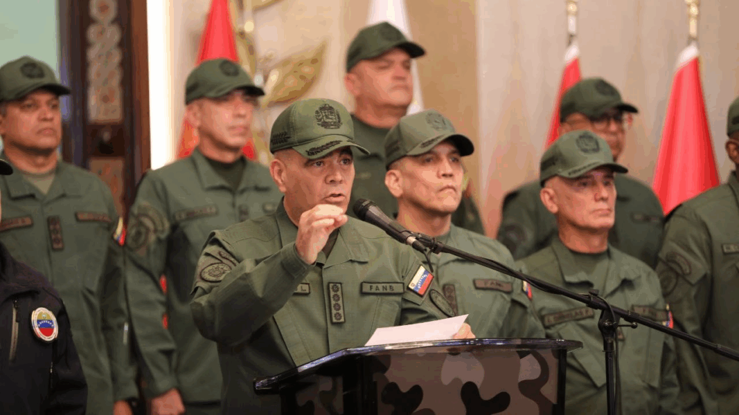 FANB garantiza la defensa de la soberanía frente a presiones externas