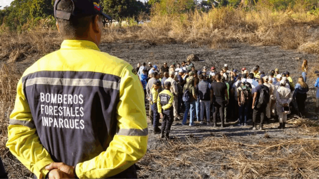 Ñáñez advierte que incendio en Parque Henri Pittier pudo causar daños irreversibles