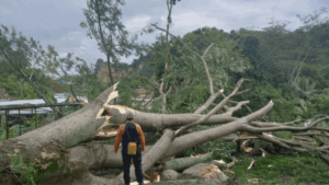 lluvias Trujillo