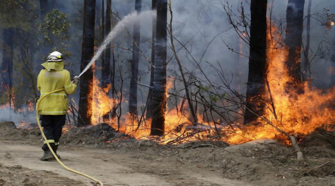 Incendios arrasan más de 700 edificaciones en el sur de Australia