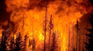 incendios forestales