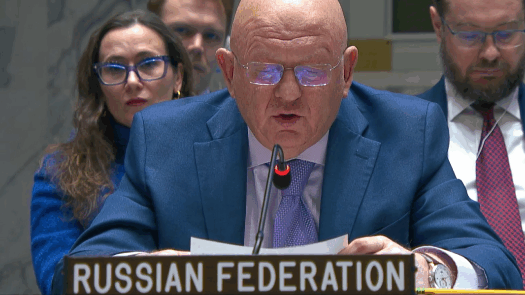 Lo que se ha dicho en el Consejo de Seguridad de la ONU