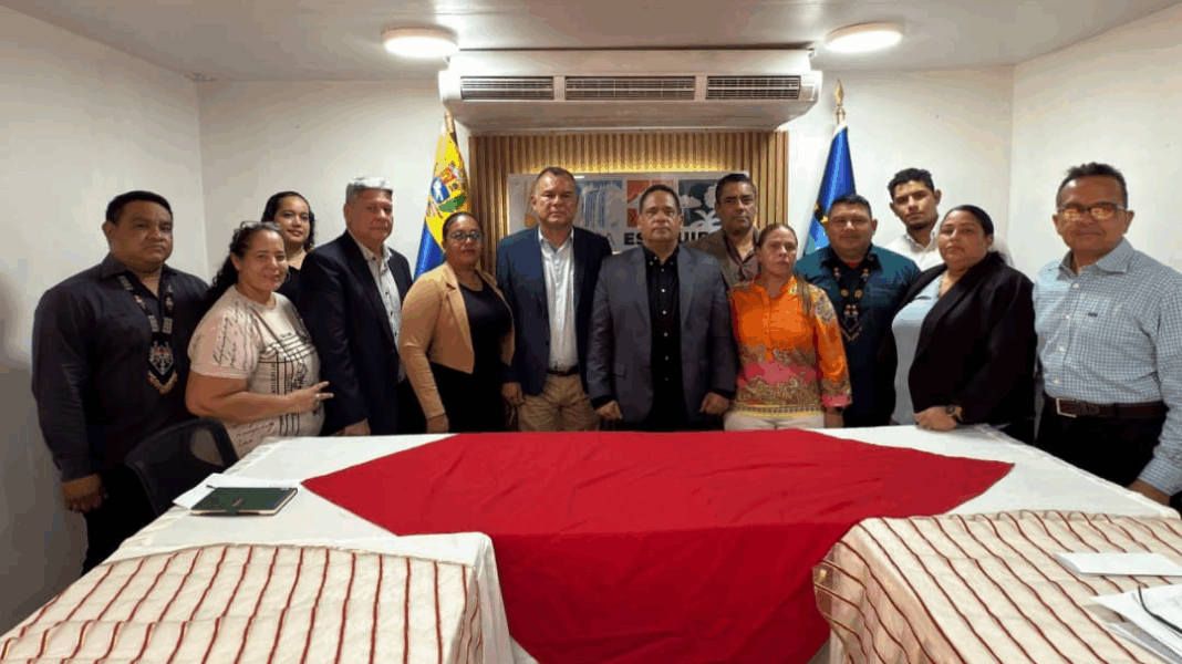 Guayana instala su consejo legislativo con el foco salud y servicios públicos