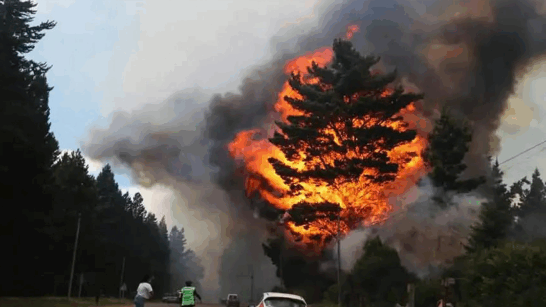 Milei prefiere estar en Suiza y no atender los incendios en la Patagonia
