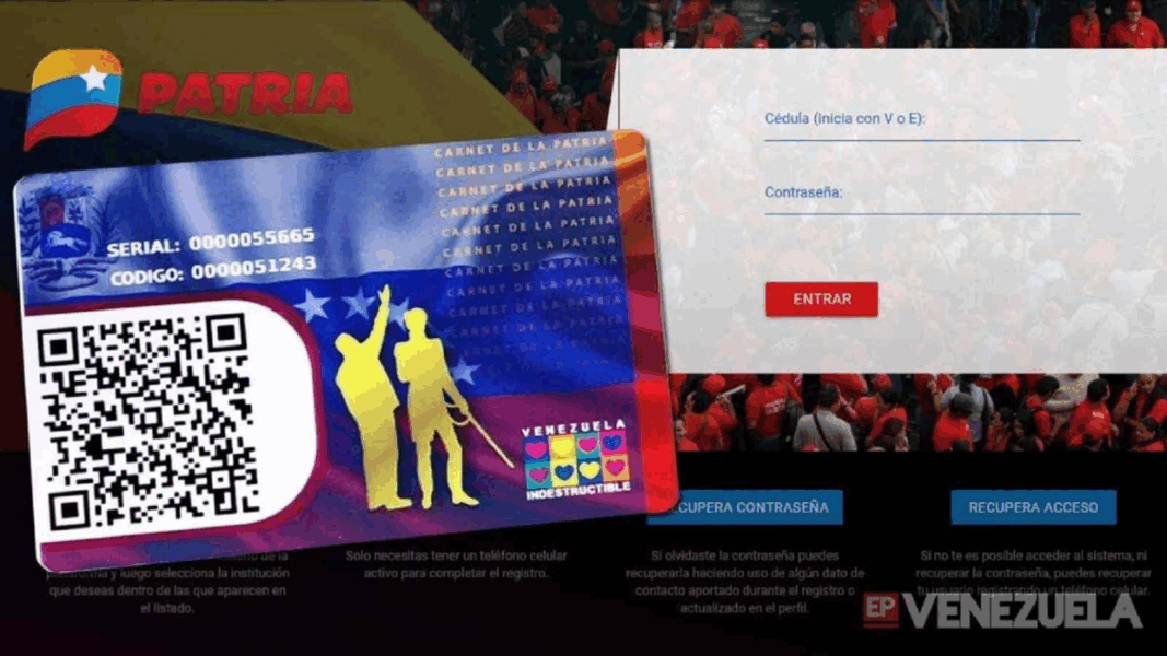 Conozca todos los servicios que puede pagar a través de la plataforma patria