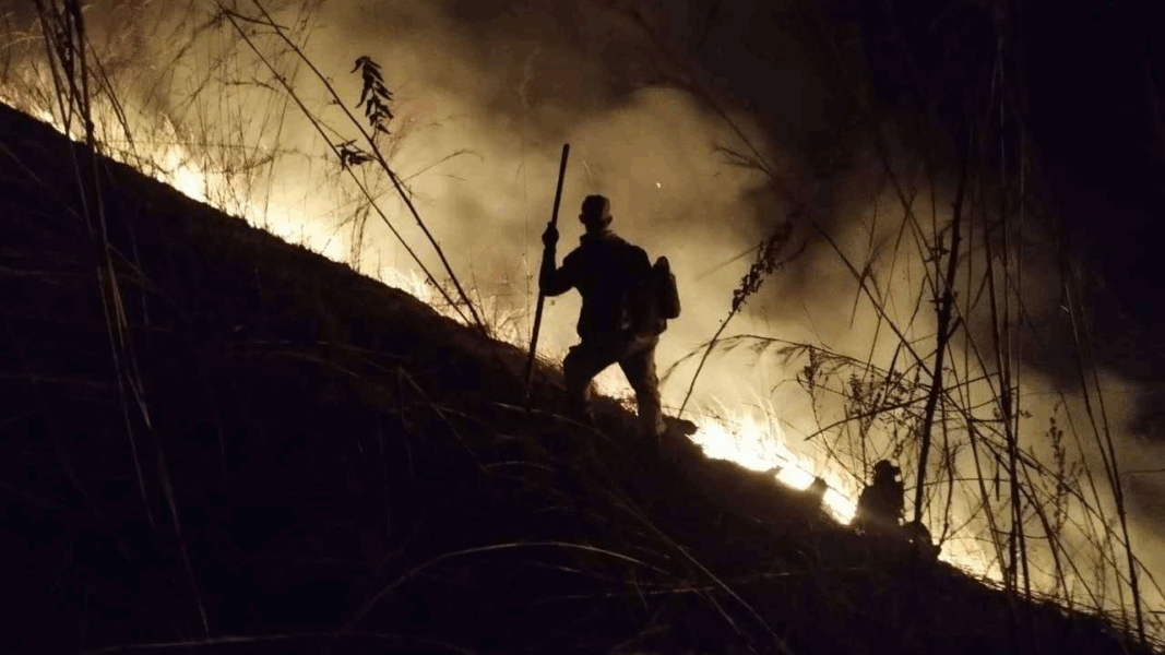 Brigadas combaten nuevo incendio en el Parque Nacional Henri Pittier
