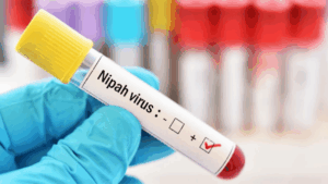 China virus Nipah