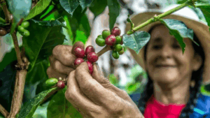 Delcy Rodríguez café