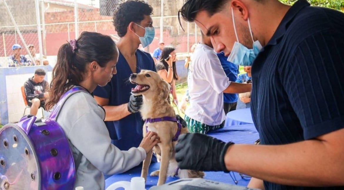 Misión Nevado despliega jornada nacional gratuita de vacunación séxtuple canina