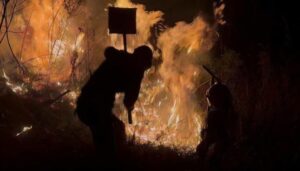 incendio forestal