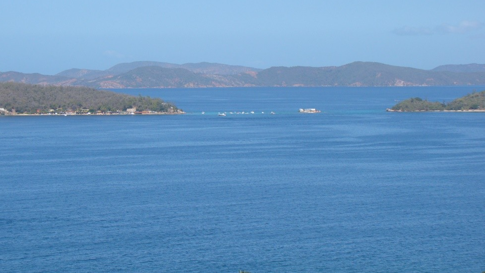 Ecosocialismo pide respeto por la fauna y flora en Carnavales