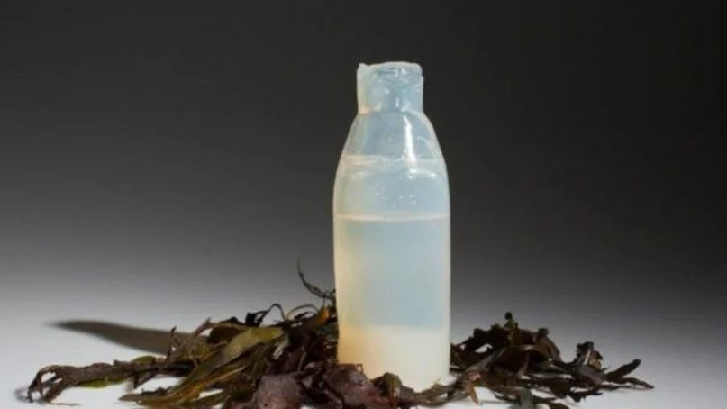 Crean un envase que «se esfuma» en la naturaleza