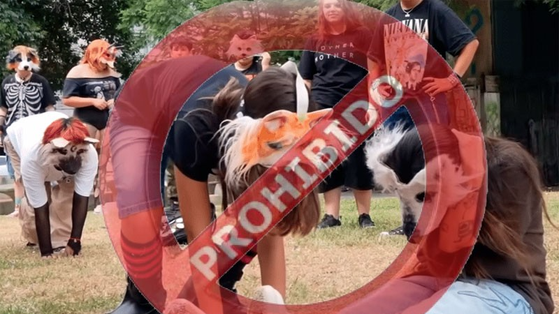 Honduras le pone un freno a quienes actúan como animales