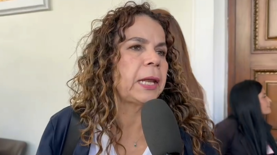Iris Varela: «Sin reconocimiento de delitos no hay amnistía»