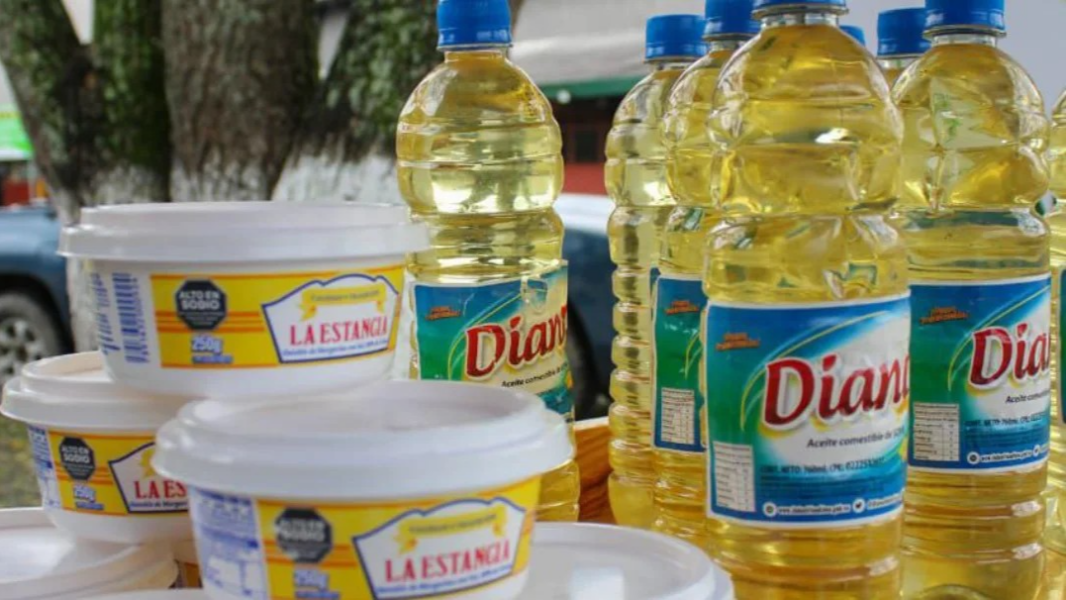 El tesoro oculto del Sur del Lago: la palma aceitera