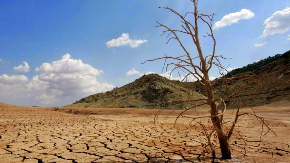 Expertos advierten que el cambio climático está secando los suelos