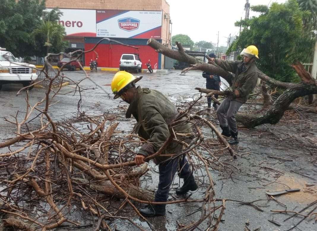 Autoridades en Lara despliegan operativo especial tras afectaciones por fuertes lluvias