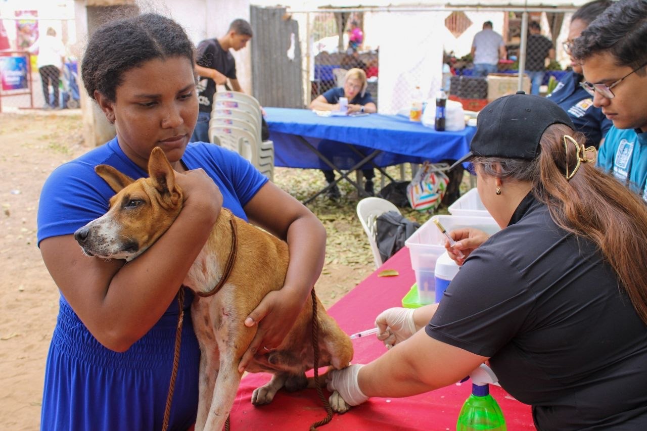 Gestión de Giancarlo Di Martino garantiza vacunación gratuita para mascotas en la parroquia Juana de Ávila