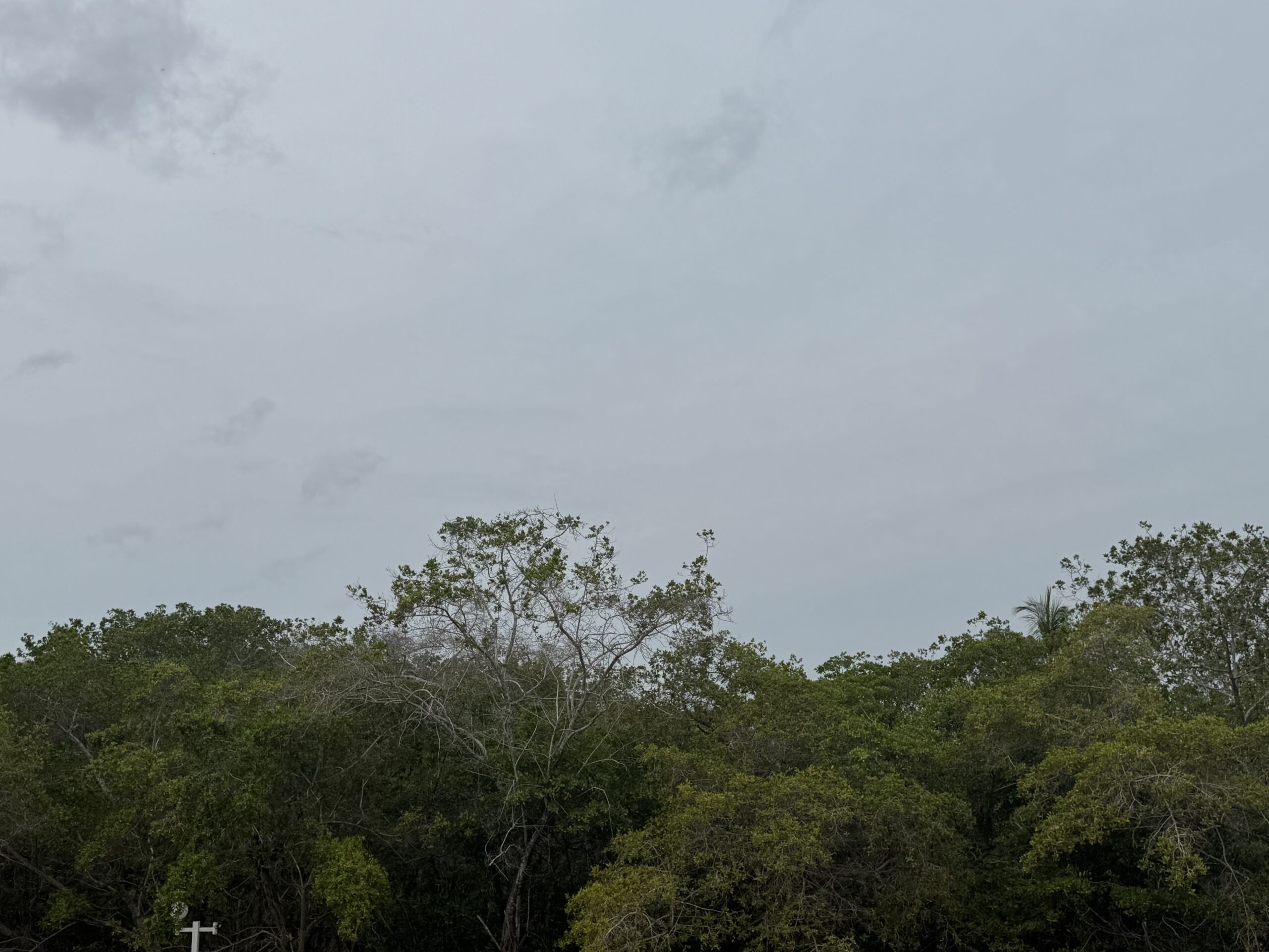  37 grados de calor azota Venezuela