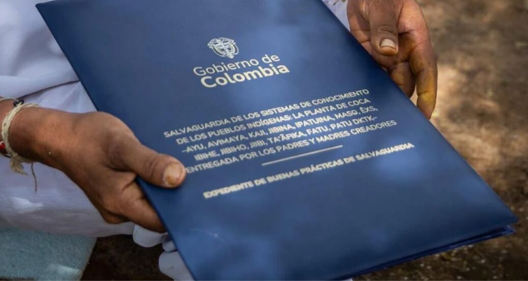 Colombia postula la planta de coca como patrimonio ante Unesco