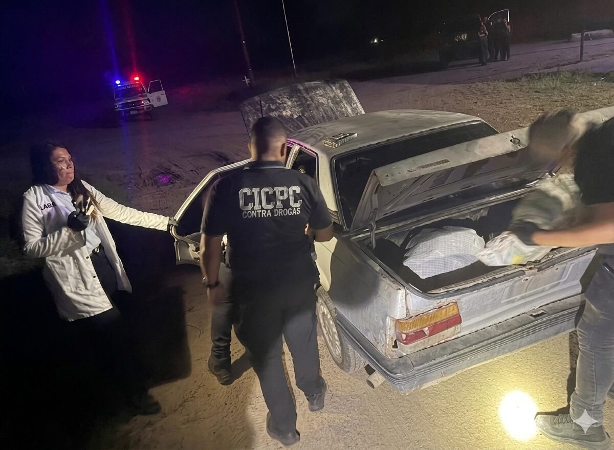 Cicpc decomisa 213 kilos de marihuana en Lara
