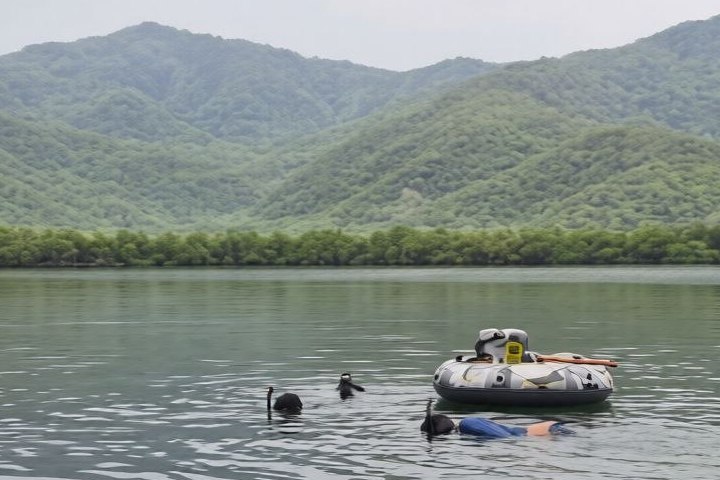 El secreto bajo las aguas de Aragua: Científicos descubren el «arma secreta» contra el cambio climático