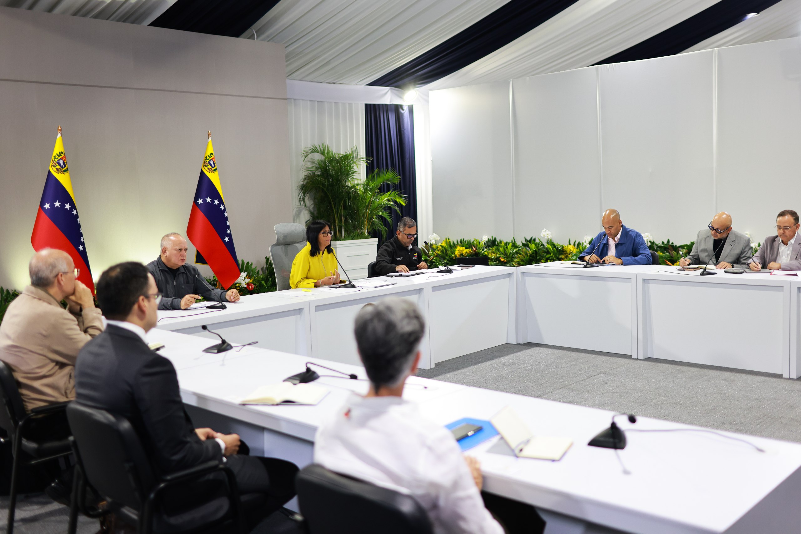 Delcy Rodríguez y gobernadores afinan estrategia para la recuperación plena del SEN
