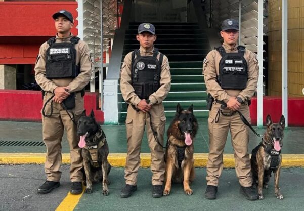 Juran 116 perros antidrogas como servidores públicos