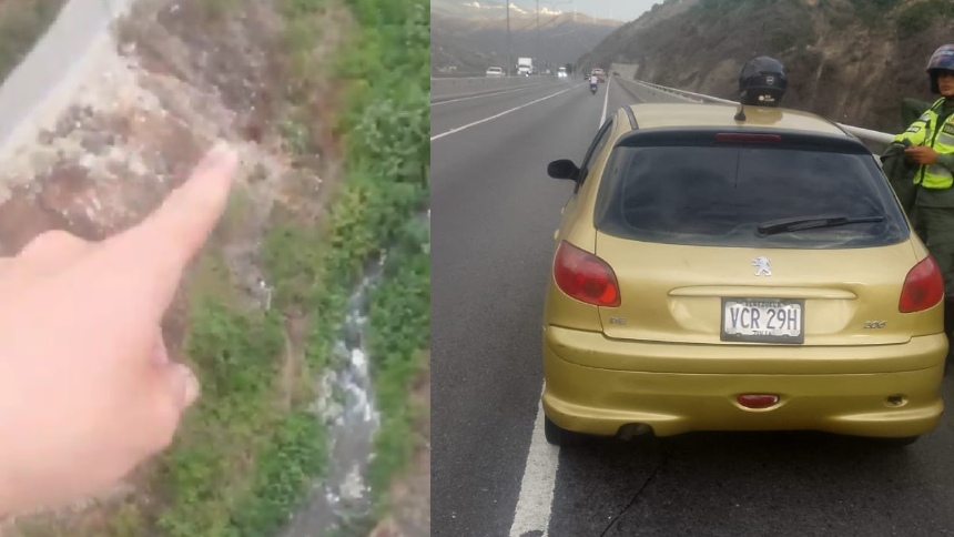 Se lanza al vacío desde el viaducto y muere