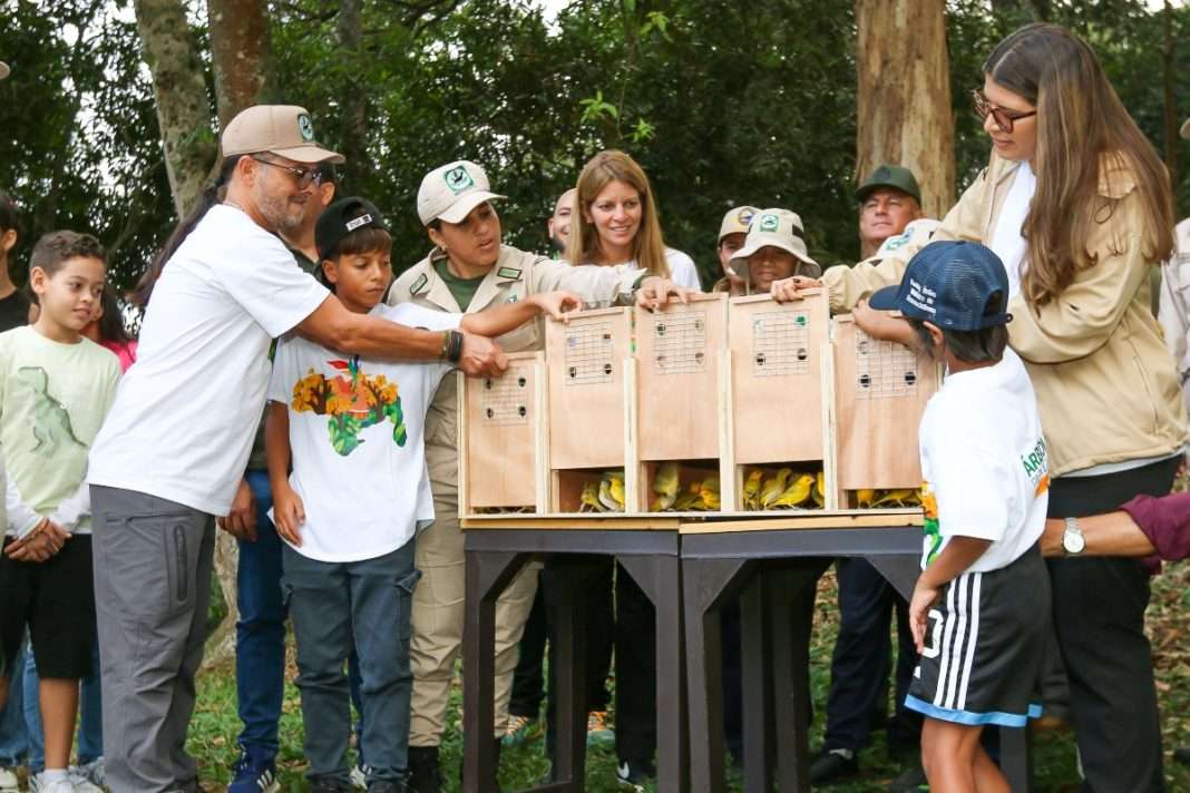 ​​Retorno al Waraira: Rescatadas del tráfico 400 aves nacionales
