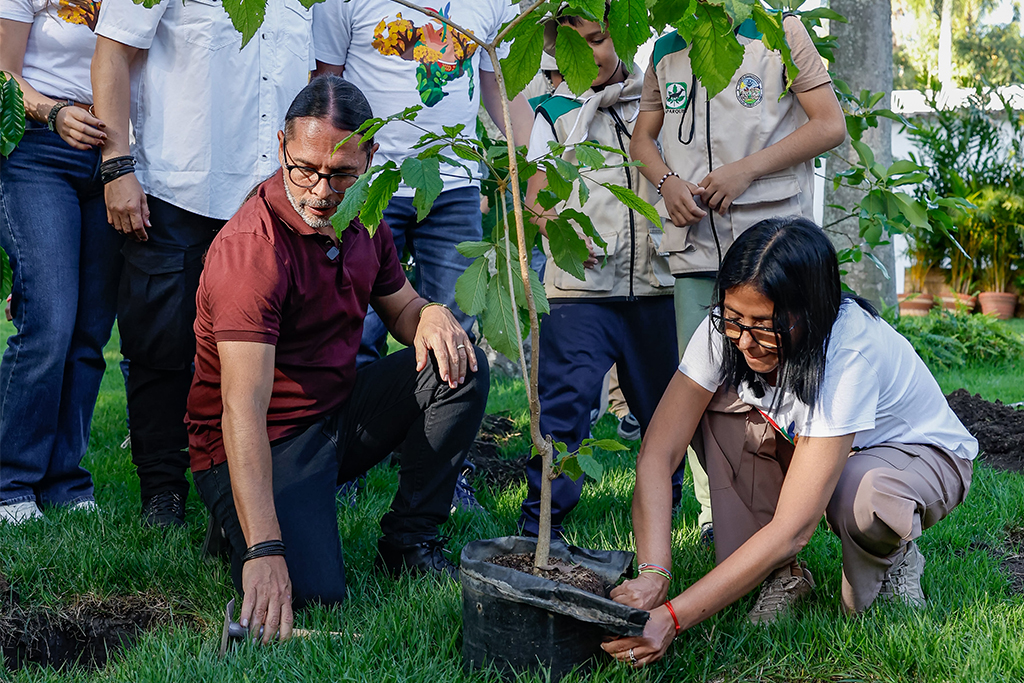 Delcy Rodríguez siembra araguaney en jornada de reforestación